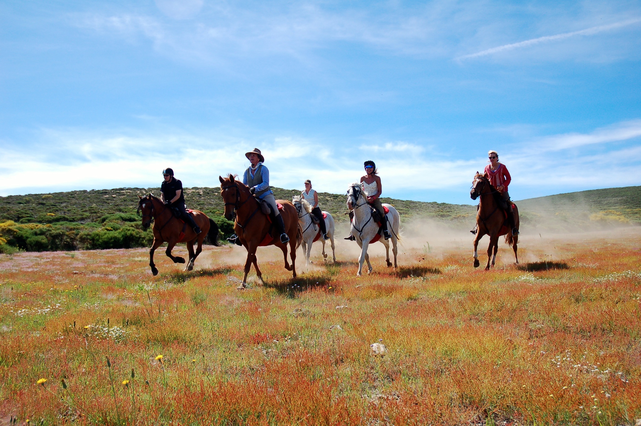 Horse riding holidays in Spain (11 destinations) Far and Ride