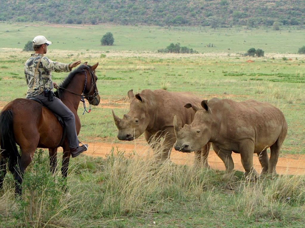 Waterberg Big Five Safari riding holiday in South Africa Far and Ride