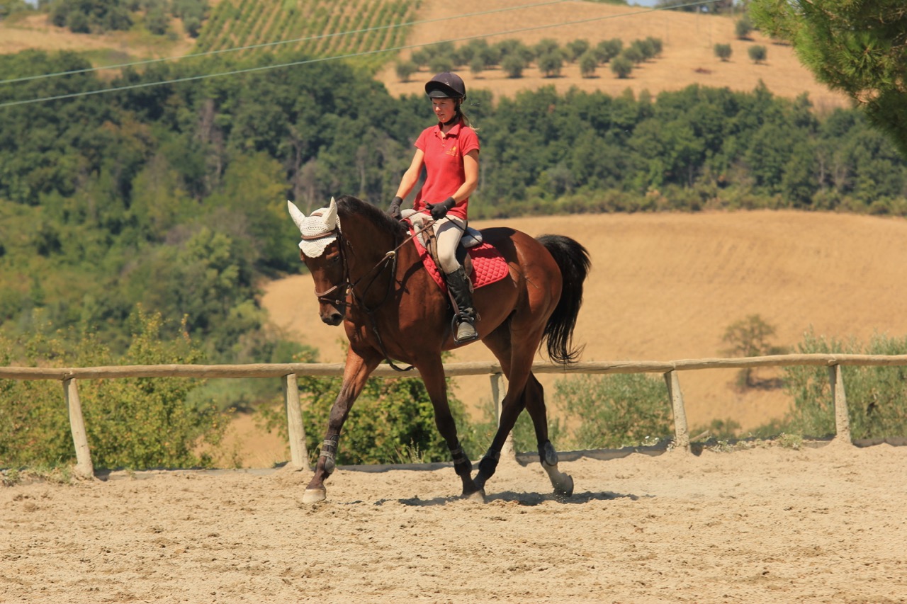 Horse riding holidays in Italy (10 destinations) Far and Ride