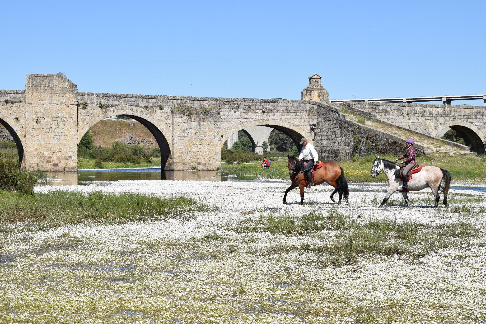 Horse riding holidays in Spain (12 destinations) - Far and Ride
