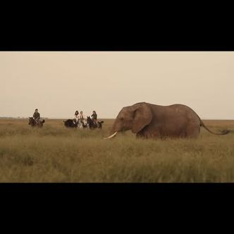 There are a handful of empty saddles on the Kilimanjaro …