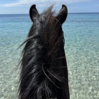 If you like comfort, a relaxed pace, safe horses and …