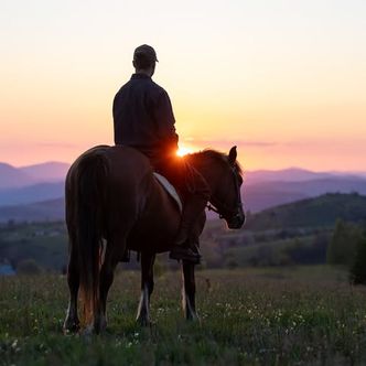 Oh Serbia, you are beautiful. 💚 If you love trustworthy …