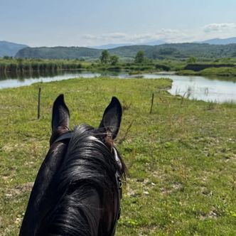 Back from our ‘Heart of Romania’ ride once again - …