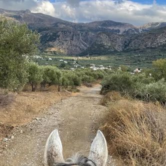 The Greek Odyssey continues! A lovely stay at Odysseia Stables, …