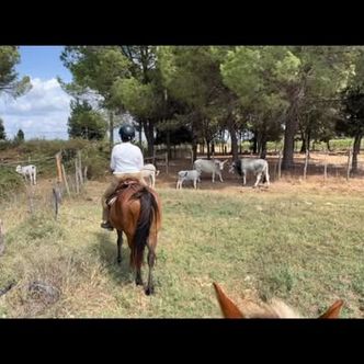 A wonderful few days in Maremma checking out this brand …