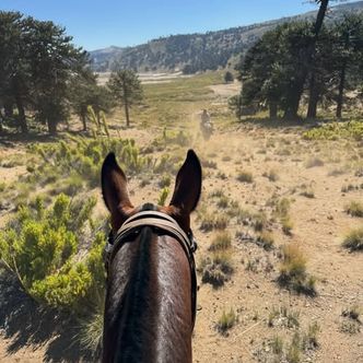 Happy days in Patagonia with perfect pony Puma! 🤩 Jan …