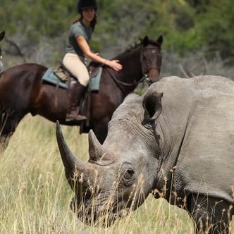 In honour of #worldrhinoday we’re sharing some images from our …