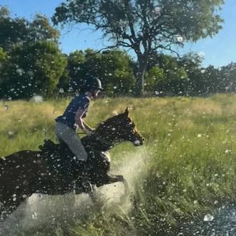 Dreaming of epic splashy canters in the Okavango Delta alongside …
