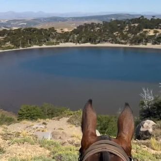 Fitting a week like this into 90 seconds… now that’s …