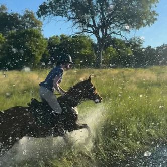 Dreaming of epic splashy canters in the Okavango Delta alongside …