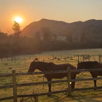 I’m not sure where to begin when it comes to …