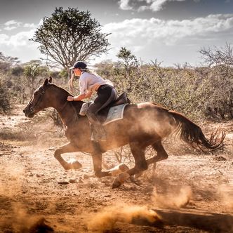 Did you know that we now offer riding holidays at …