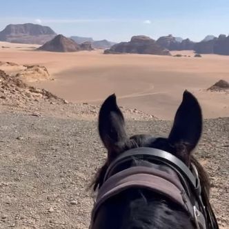 Seeing the world in style. Ears belonging to (in no …