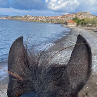 A wonderful stay on the beautiful island of Lesvos with …