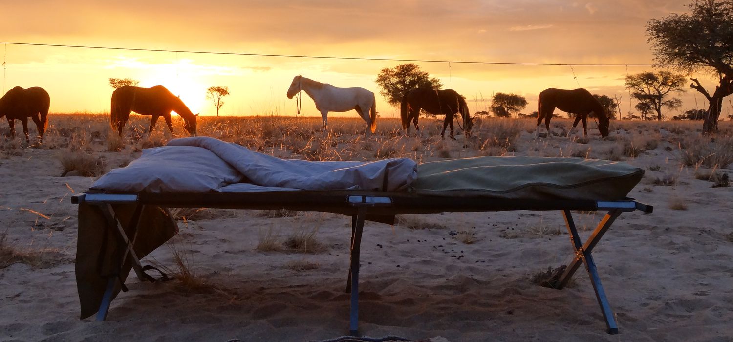 Photo from the Namibia Horse Safari Company ride.