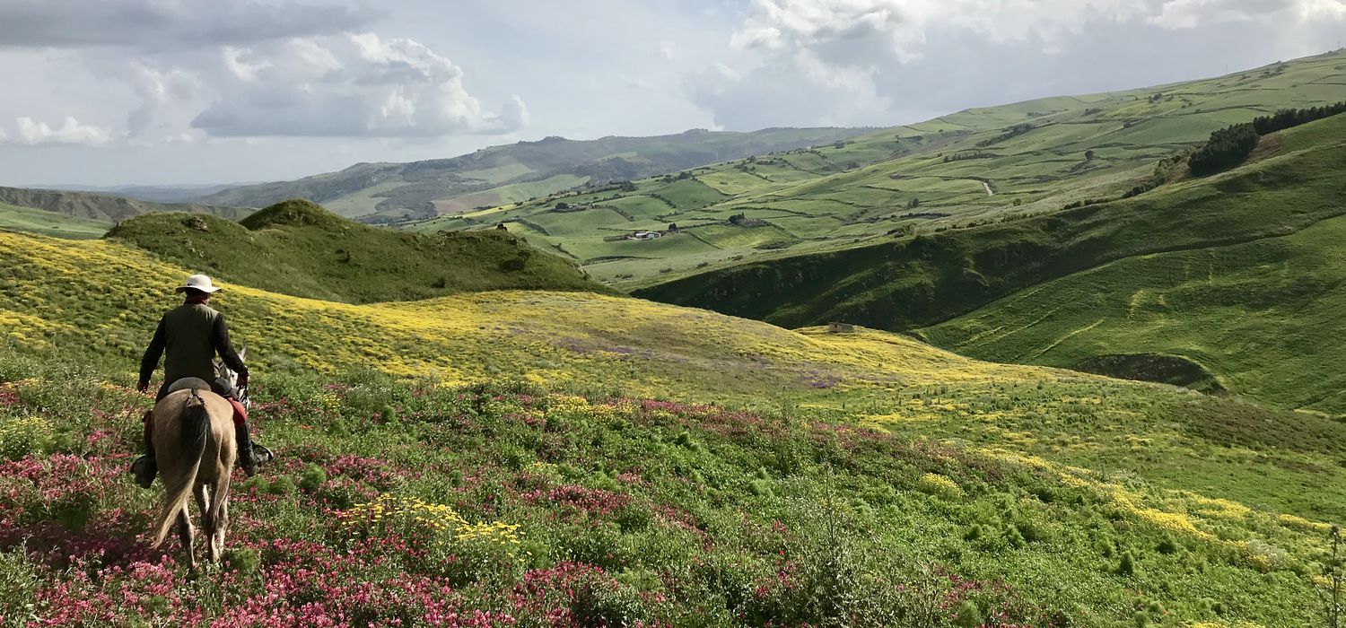 Photo from the Sicily Explorer (Sicily) ride.