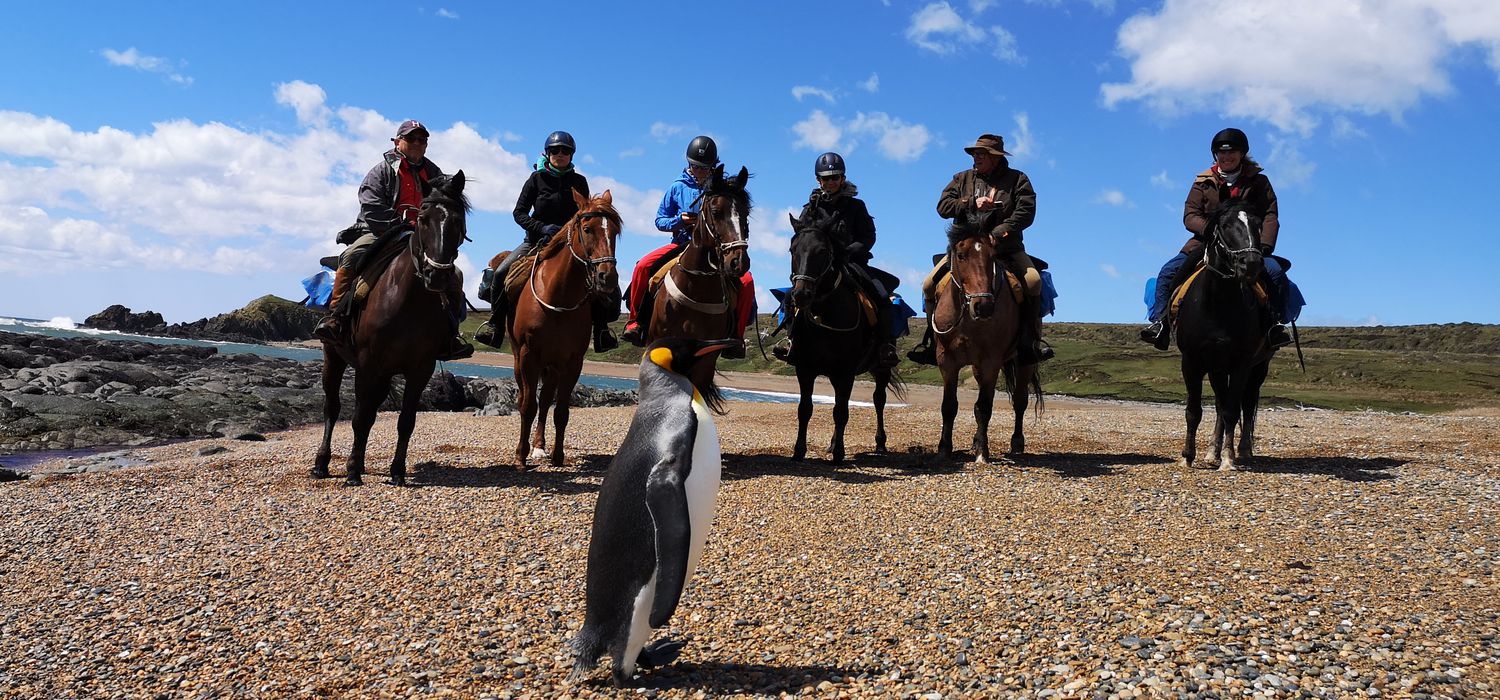 Photo from the Tierra del Fuego (Argentina) ride.