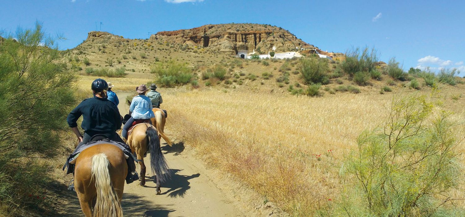 Photo from the Sierra Nevada Trails ride.