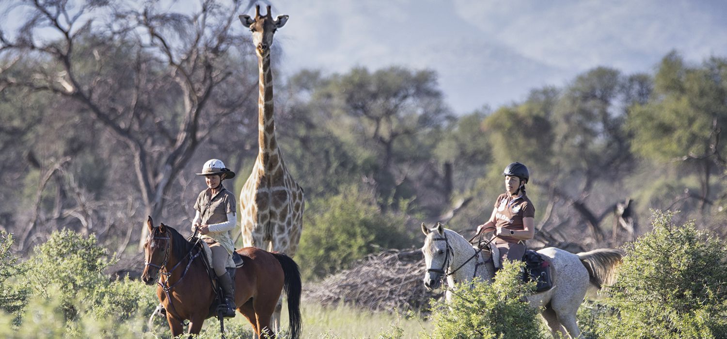 Photo from the Okapuka Horse Safaris ride.