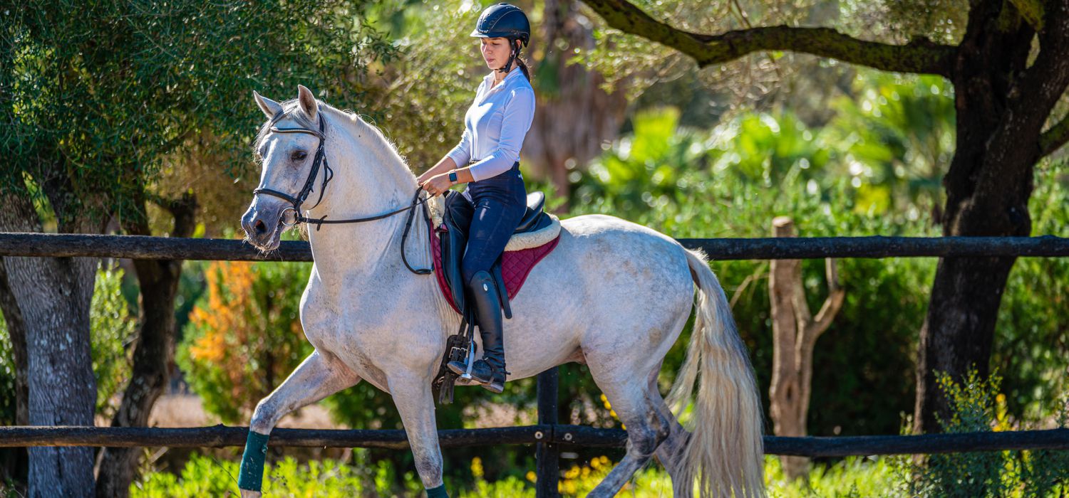 Photo from the Mallorca Tuition & Trails ride.
