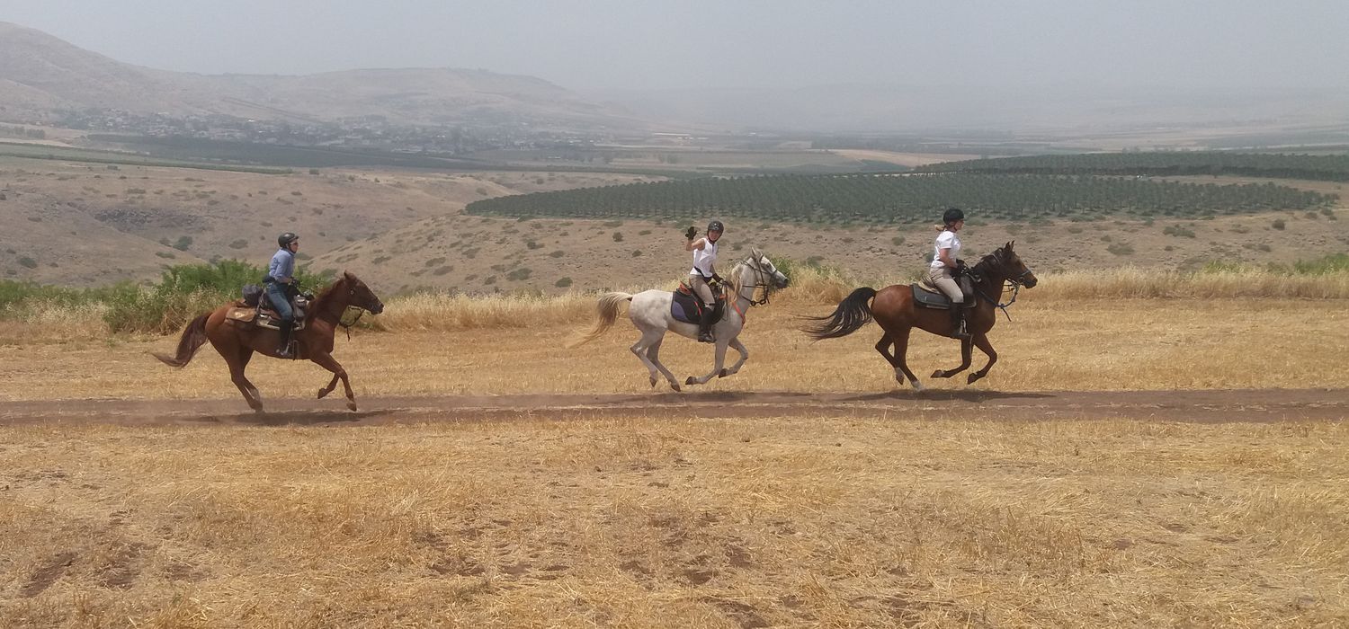 Photo from the Land of Galilee ride.