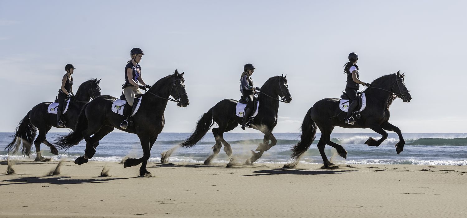 A view of the Friesian Dressage and Beach ride in Spain
