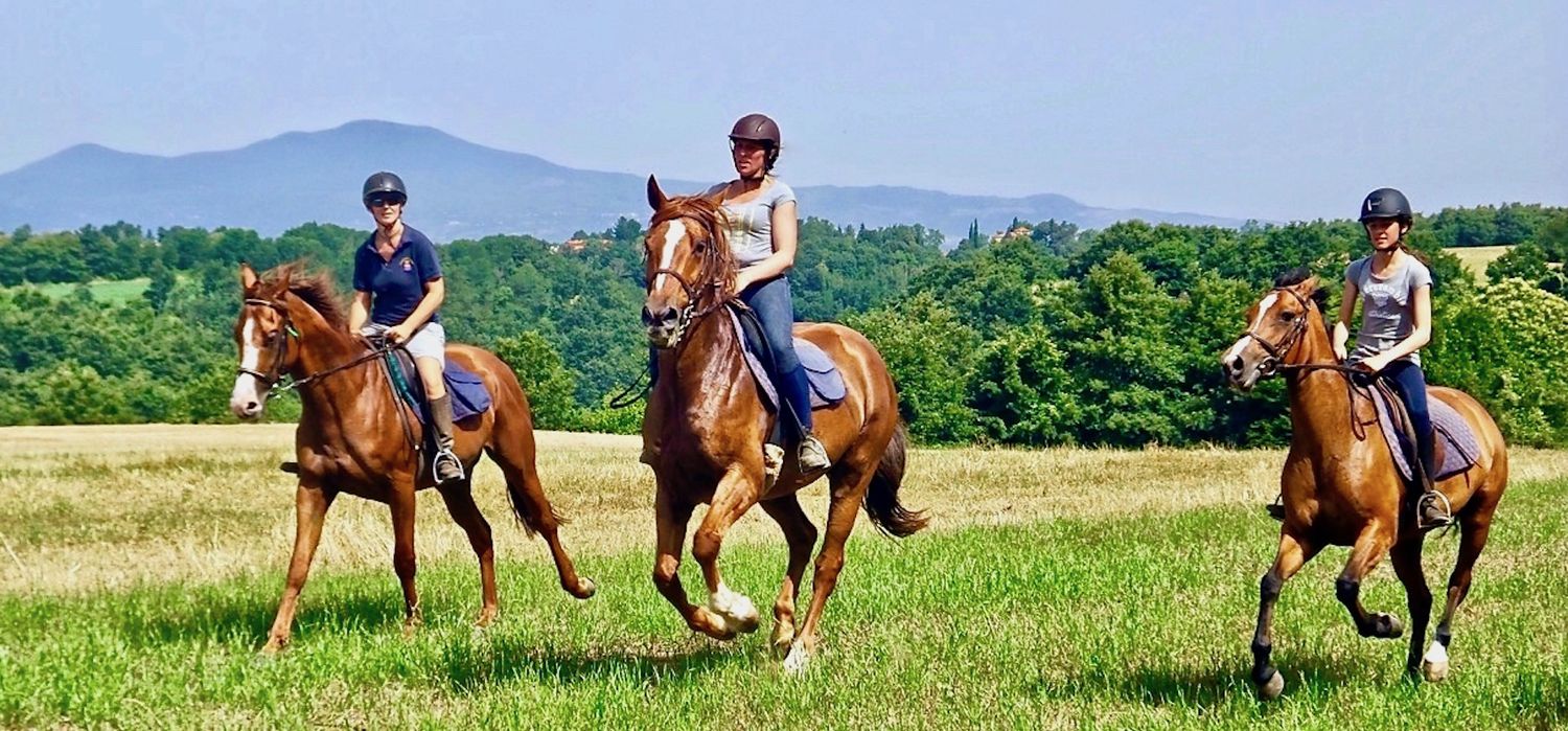 Photo from the Tuscany Castle ride.