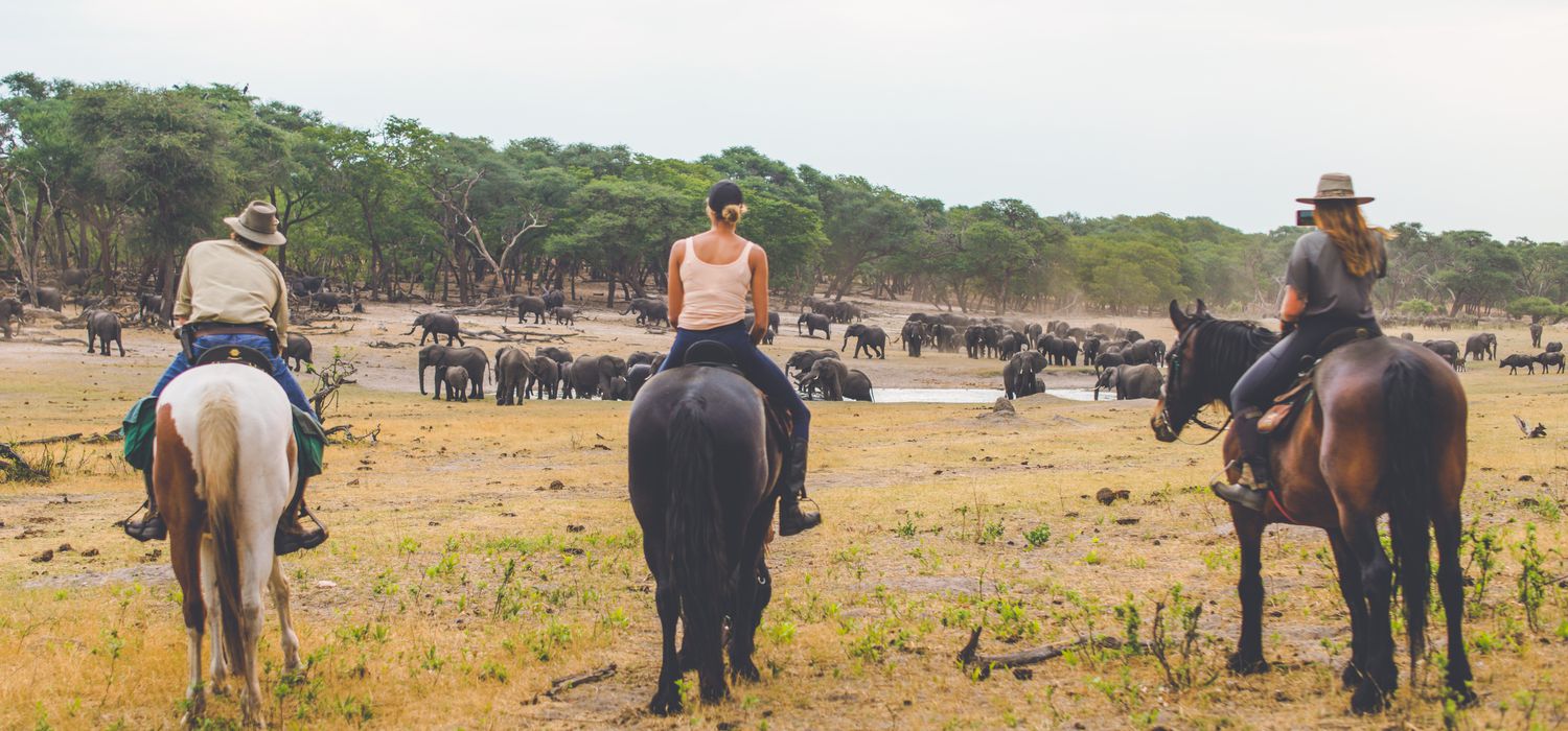 A view of the Ride Zimbabwe (Varden Safaris) ride in Zimbabwe