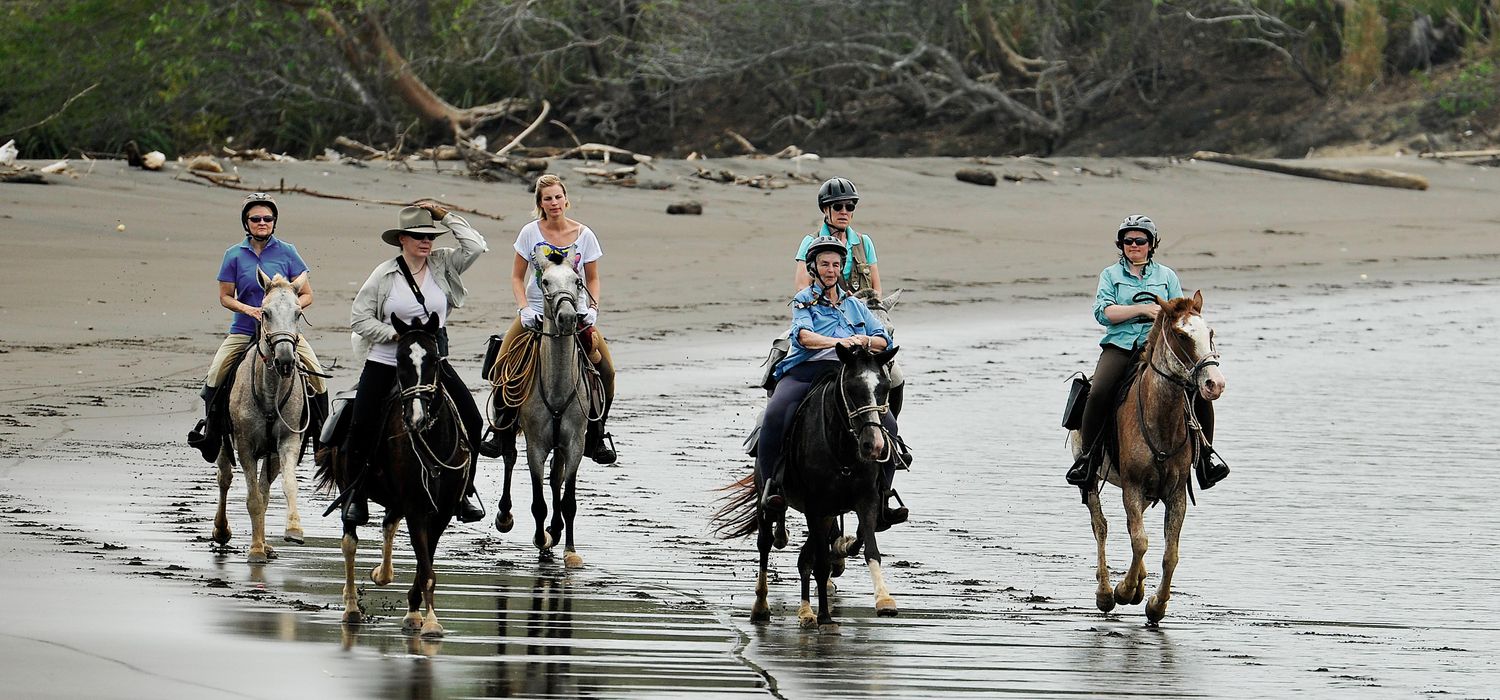 Photo from the Rainforest Adventures ride.