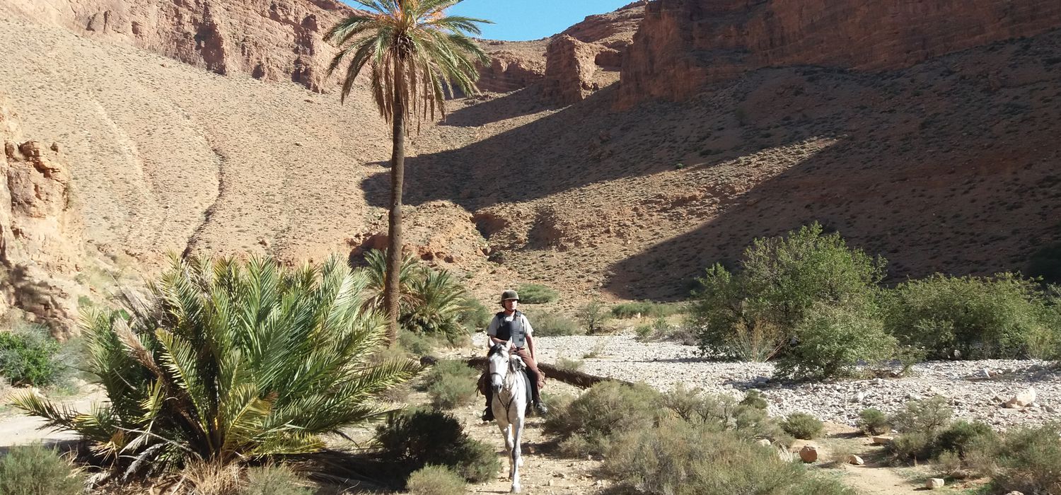 Photo from the Great South Ranch (Morocco) ride.