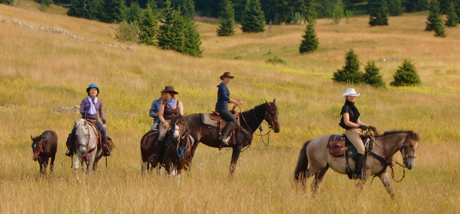 Photo from the Linden Tree Retreat & Ranch (Croatia) ride.