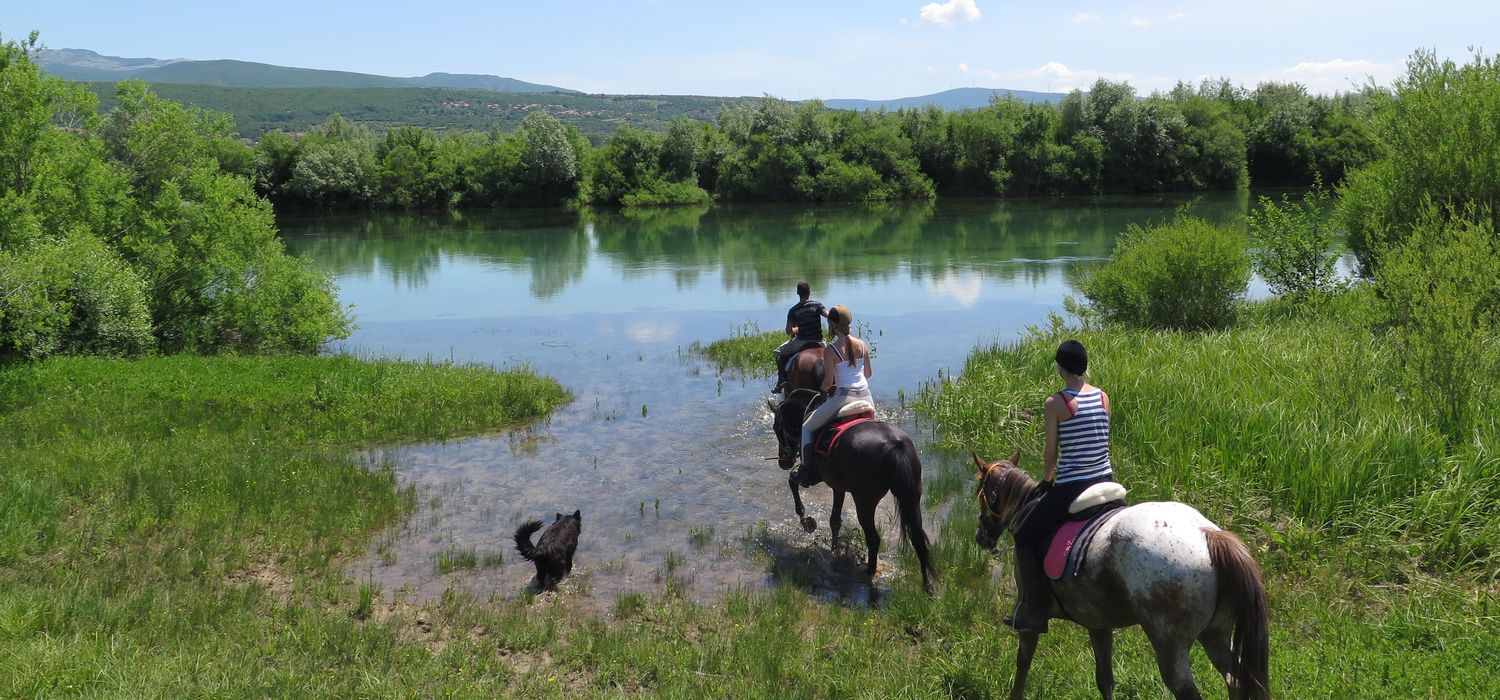 Photo from the Bosko's Ranch and Croatian Culture (Croatia) ride.