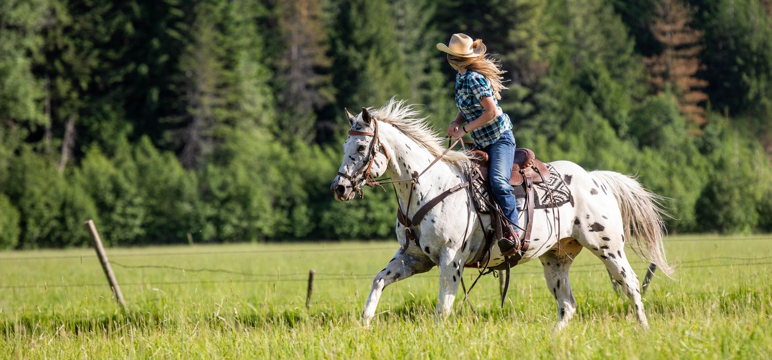 Photo from the Idaho Western Pleasure Ranch ride.