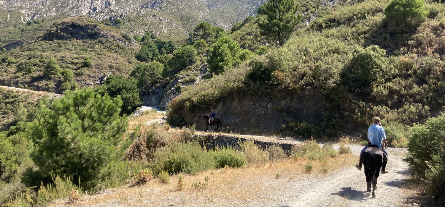 Photo from the Axarquia Mountain Hideaway (Spain) ride.