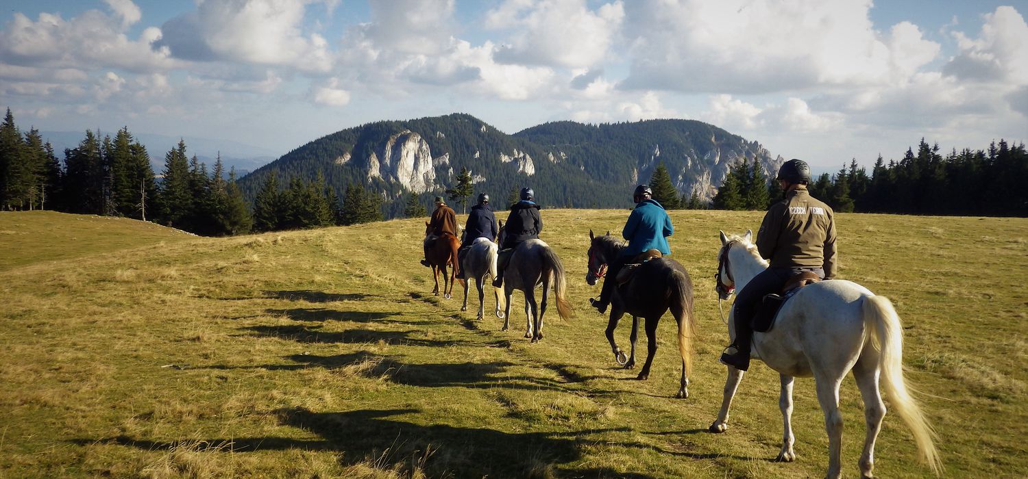 Photo from the Szekely Trails ride.