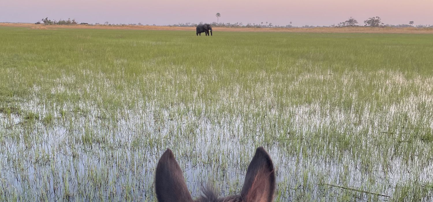 Photo from the Cha Cha Metsi with Ride Botswana ride.