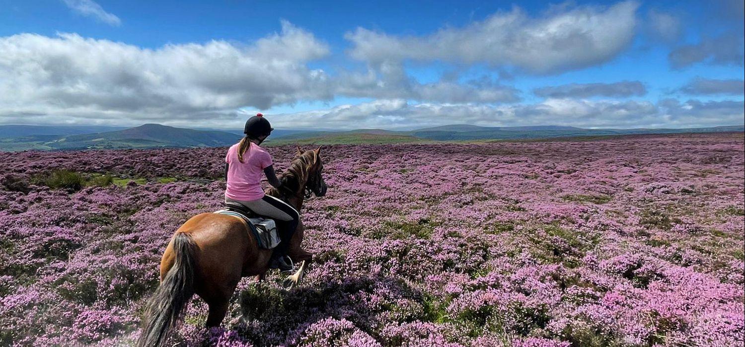 Photo from the Trans Wales Trails ride.