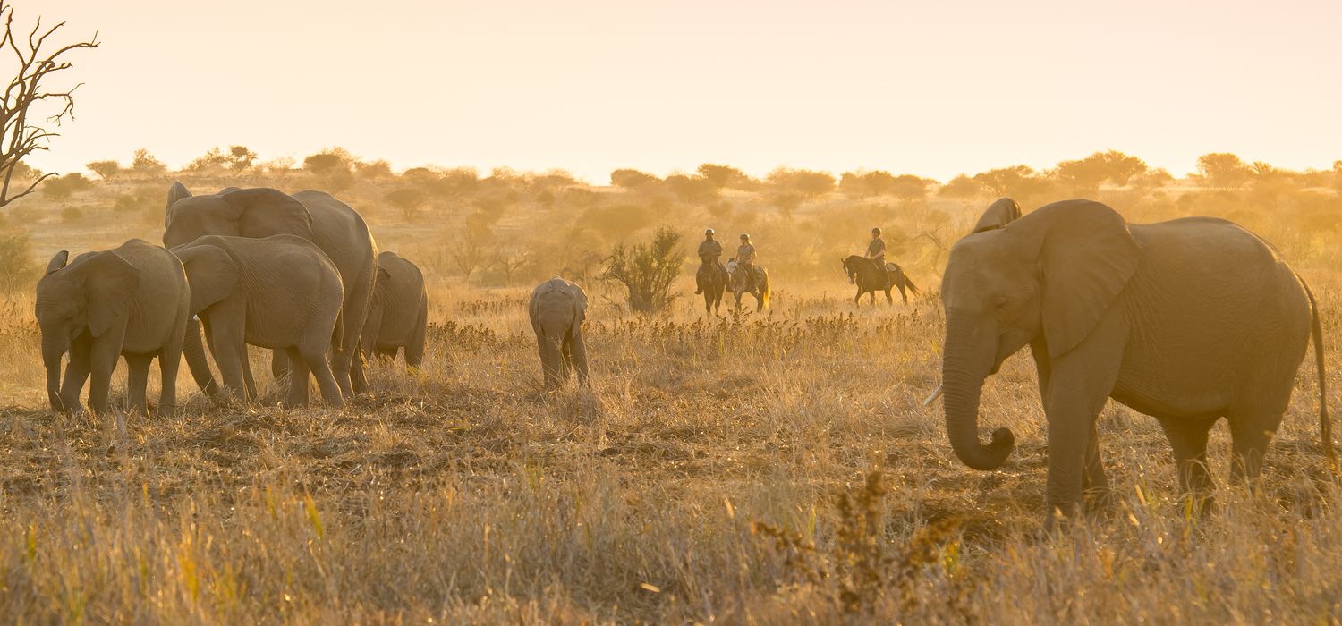 Photo from the Horizon Botswana (Botswana) ride.