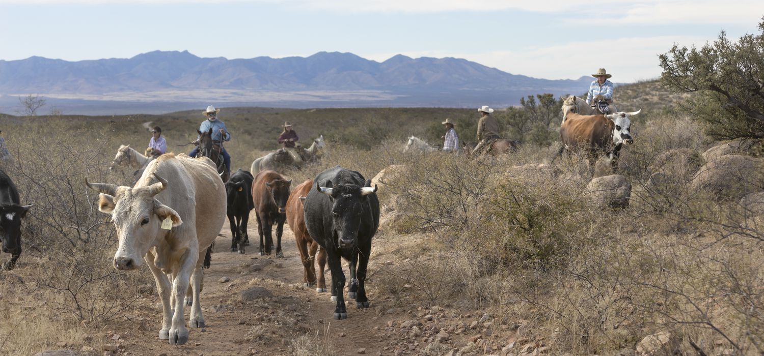 A view of the Arizona Tombstone ride in USA