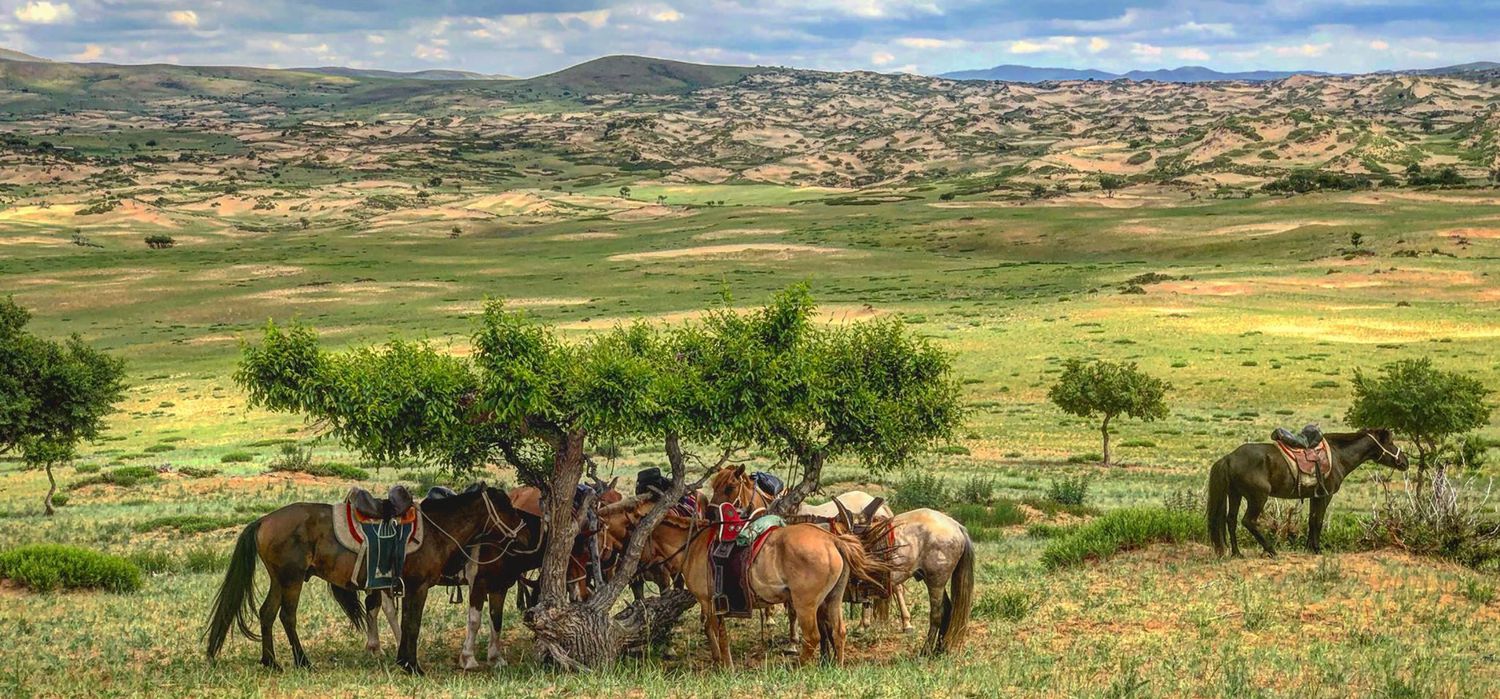 Photo from the Gobi and Grasslands Ride (Mongolia ) ride.