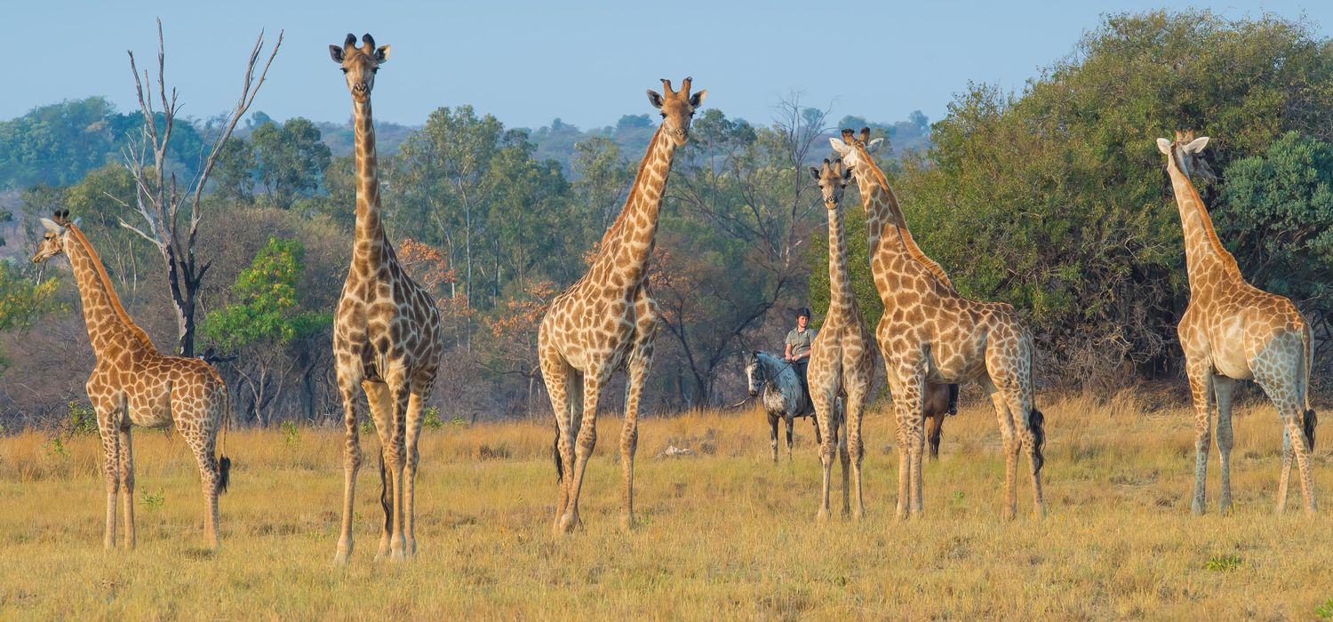 Photo from the Horizon Horseback Adventures and Safaris (South Africa) ride.