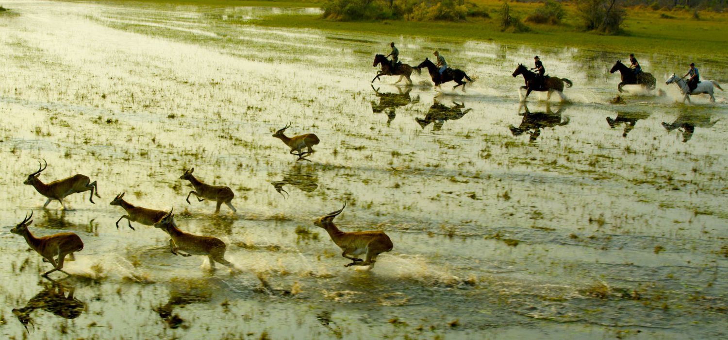 Photo from the Okavango Horse Safaris (Botswana) ride.
