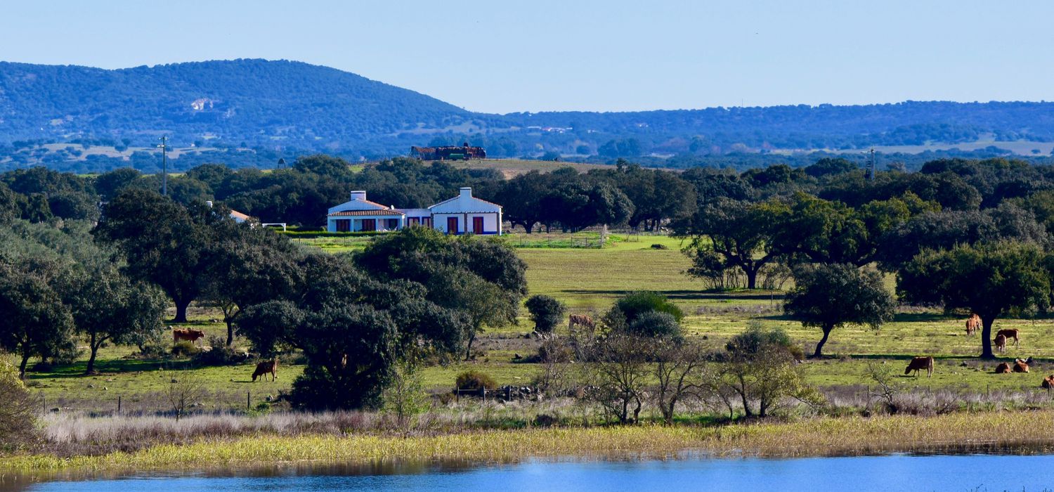 Photo from the Alentejo Retreat ride.