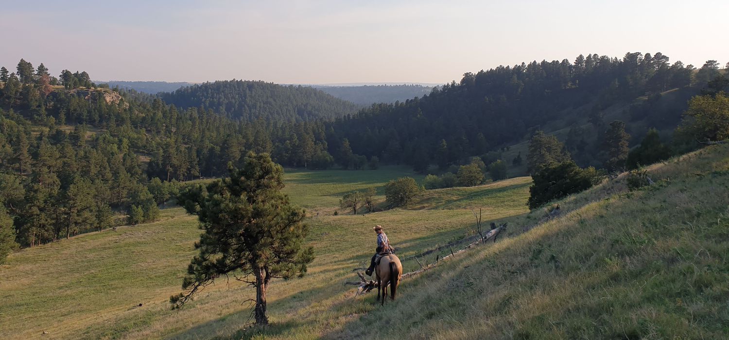 A view of the Black Hills Ranch (Wyoming) ride in USA
