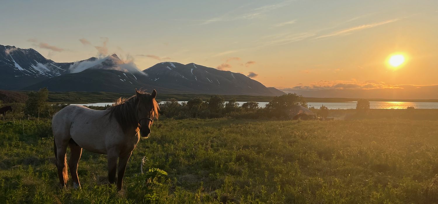 Photo from the Caribou Mountains ride.
