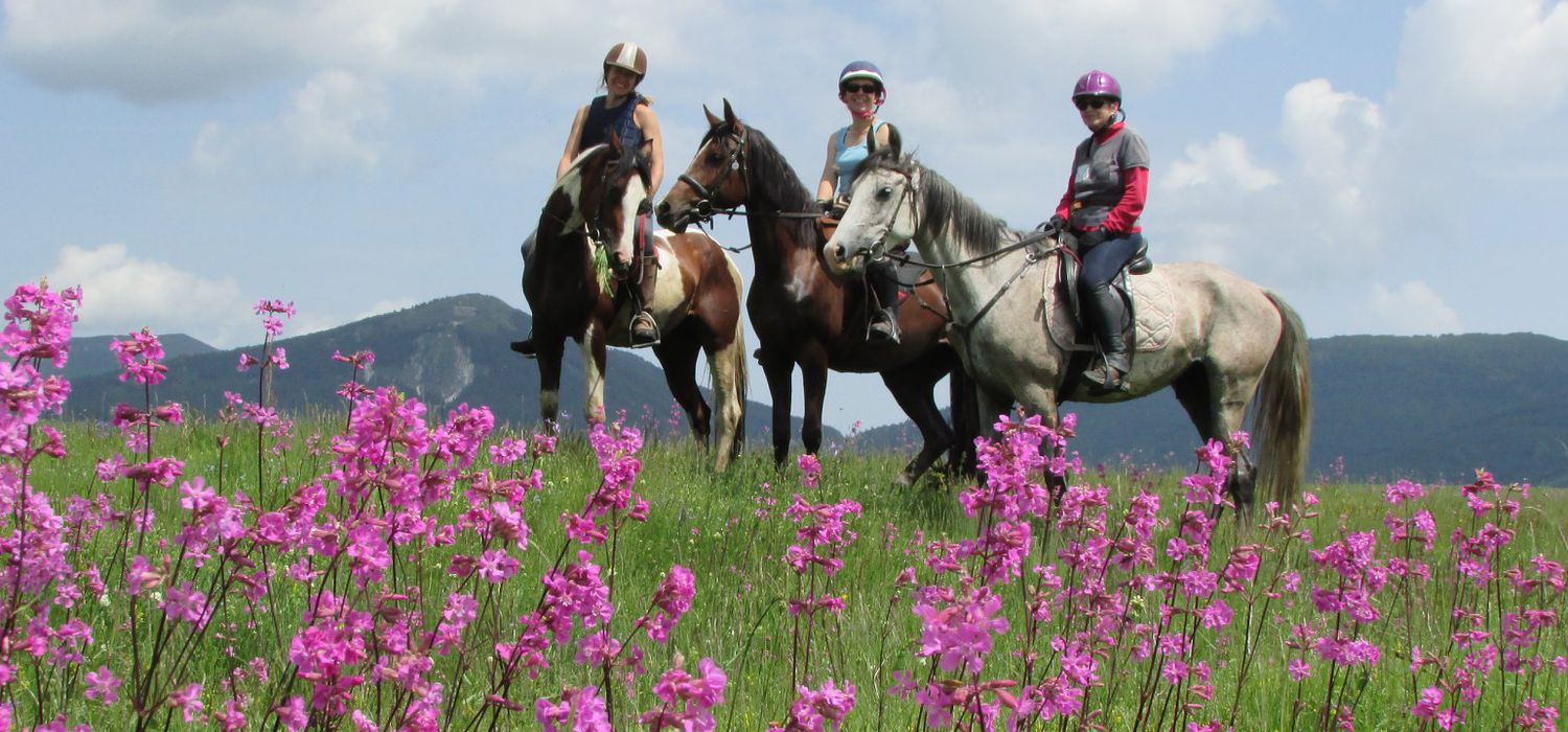 Photo from the Kupres Farm (Bosnia and Herzegovina) ride.