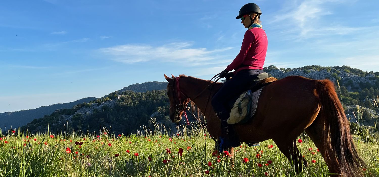 Photo from the Riding the Lycian Way (Turkey) ride.