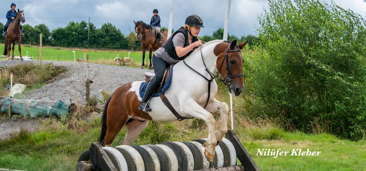 A view of the Flowerhill Equestrian ride in Ireland