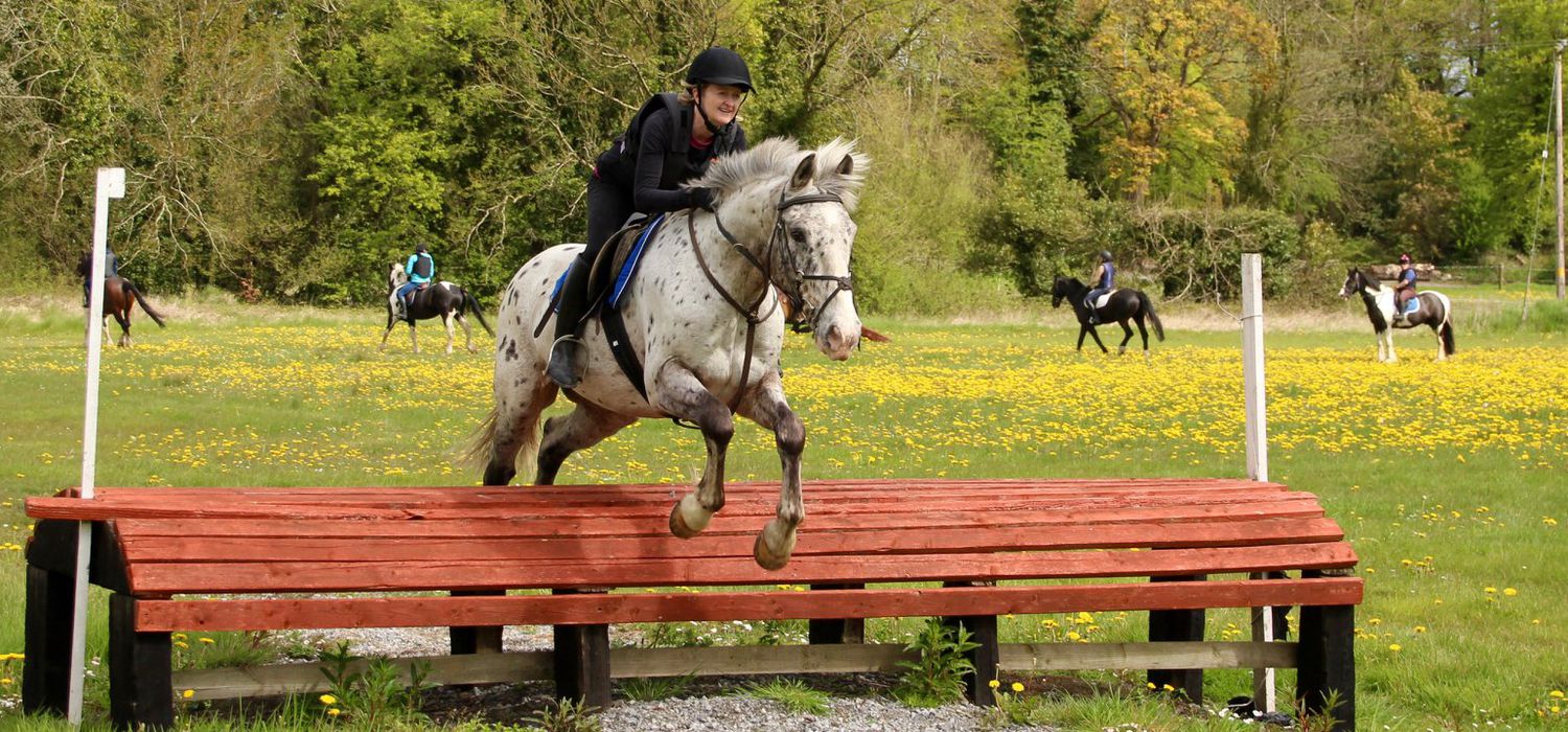 A view of the Flowerhill Equestrian ride in Ireland